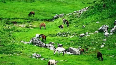 खप्तड पर्यटन परियोजनाको पूर्वसम्भाव्यता अध्ययनका लागि प्रस्ताव माग